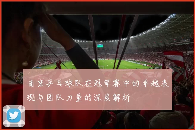 南京乒乓球队在冠军赛中的卓越表现与团队力量的深度解析