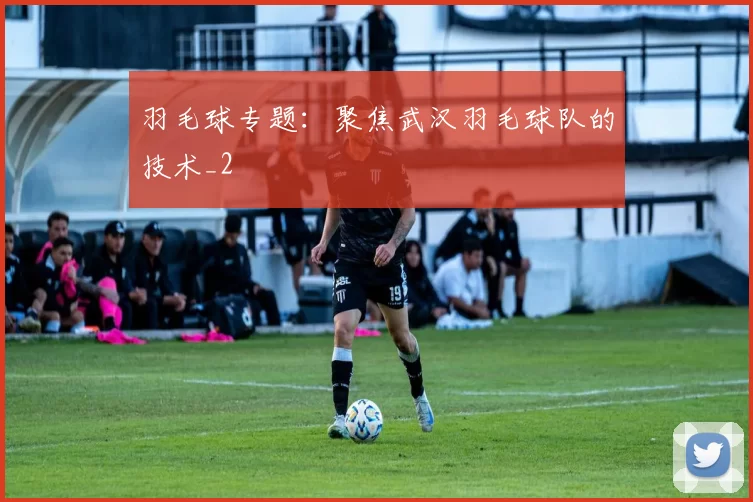 羽毛球专题：聚焦武汉羽毛球队的技术_2