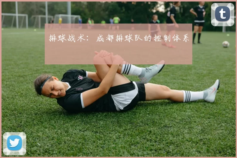 排球战术：成都排球队的控制体系