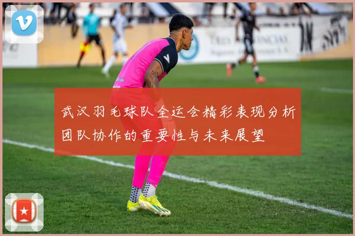 武汉羽毛球队全运会精彩表现分析团队协作的重要性与未来展望