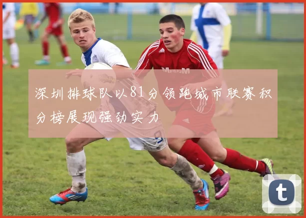 深圳排球队以81分领跑城市联赛积分榜展现强劲实力