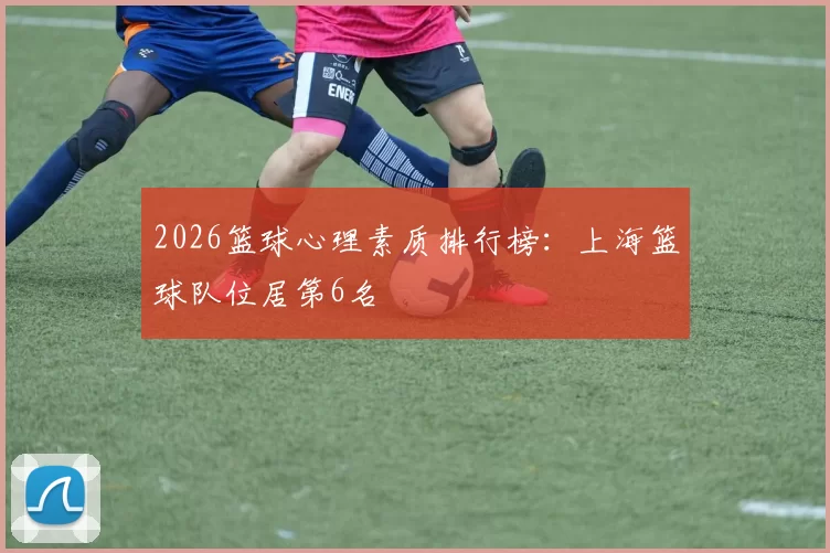 2026篮球心理素质排行榜：上海篮球队位居第6名