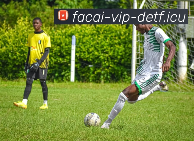 星空体育平台生态图